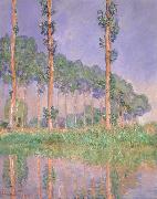 Claude Monet Poplars,Pink Effect painting